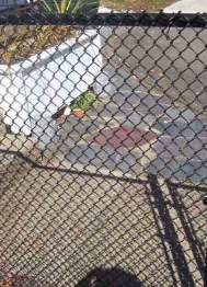 chain-link-fence-3