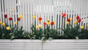 Flowers in a plant box on a fence line