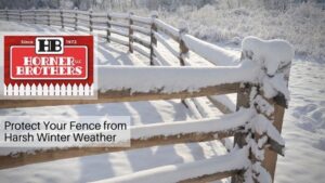 Protect Your Fence from Harsh Winter Weather
