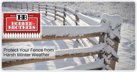 6 Reasons Why Your Yard Needs a Fence